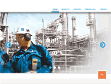 Tablet Screenshot of ipsgroupbv.com